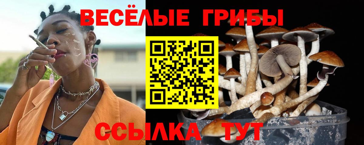 Галлюциногенные грибы ЛСД  Псилоцибиновые грибы прущие грибы  Вход с VPN  Майский 