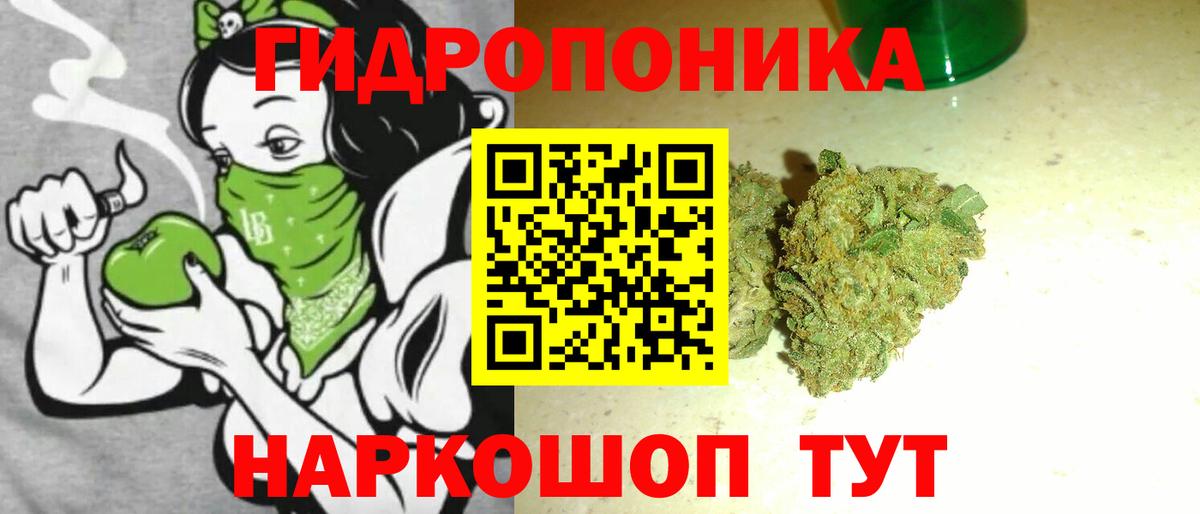 Бошки марихуана тримм  Каннабис индика  Канабис конопля  Вход с VPN  Майский 